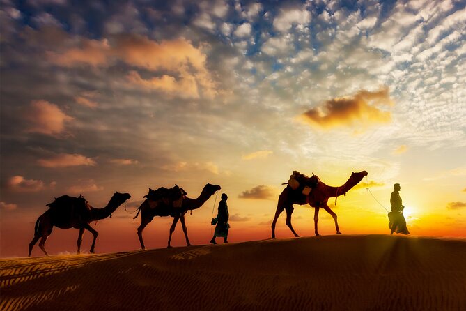 Sunset or Sunrise Camel ride in the Sahara Desert of Douz - Traditional outfit moment: djellaba and headscarf for better photos