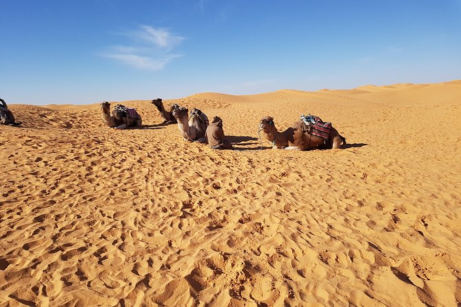 Tatouine - Cheneni - Ksar Ghuilaine - Matmata: 2 days visit - Key highlights you should care about