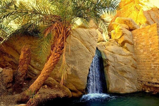 The Tunisian South between Oasis and Mountain: 3 Days / 2 Nights Douz and Tozeur - Key Highlights You Should Know Before You Go