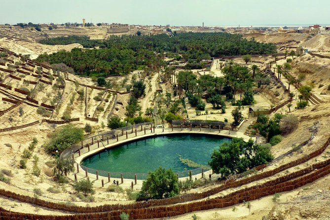 Tozeur and the mountain Oasis - From Djerba to Tozeur by 6:00 am: how the timing helps