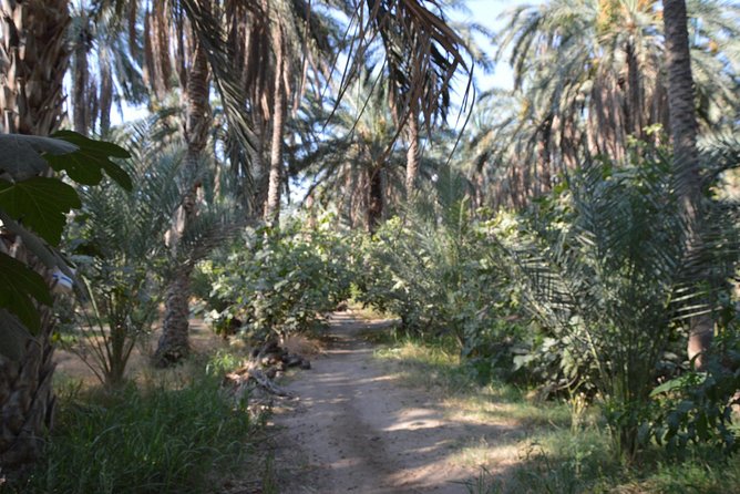 Tozeur and the mountain Oasis - Matmata homestay: seeing the landscape before the desert even begins