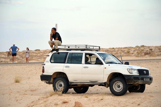 Tozeur and the mountain Oasis - Optional quad and dromedary rides: how to decide on the spot