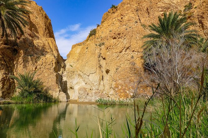 Tozeur Private Half-Day Tour: Tamerza, Chebika and Mides Canyons - Three Oases, One Tight Morning Outside Tozeur