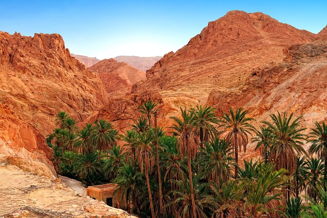 Tozeur Private Half-Day Tour: Tamerza, Chebika and Mides Canyons - Handling the Vendors and the Fennec Fox Photo Offers
