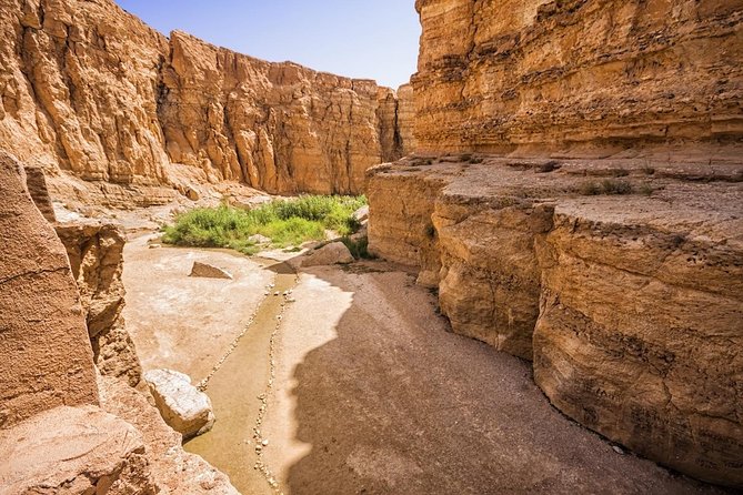 Tozeur: Tamerza, Chebika, Mides and Star Wars locations Day Tour - Chebika: The Oasis of the Sun and Its Springs