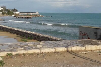 Tunis, Carthage and Sidi Bou Said Self-Guided Excursion from Hammamet