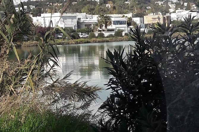 Tunis, Carthage and Sidi Bou Said Self-Guided Excursion from Hammamet - Stop 4, Site Archeologique de Carthage: What You See, and Why the Order Matters