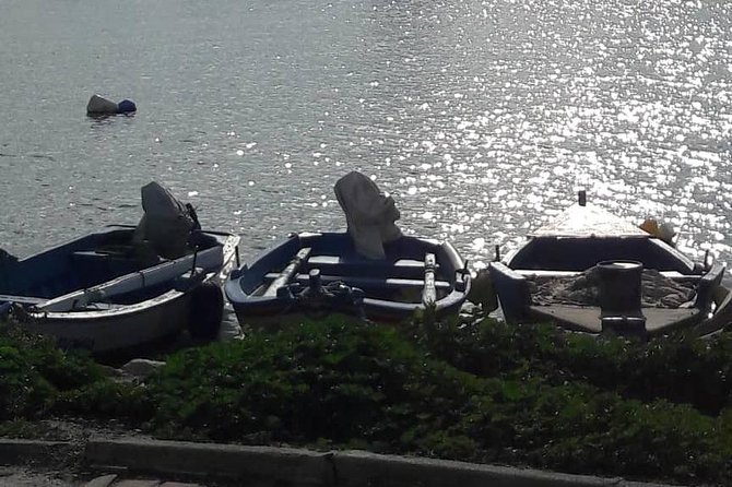 Tunis, Carthage and Sidi Bou Said Self-Guided Excursion from Hammamet - Price and Value: When $223.24 per Group Feels Fair