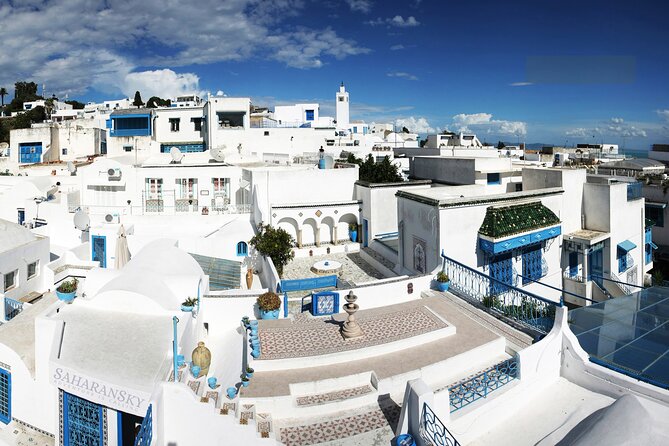 Tunis: Carthage, Bardo Museum, Sidi Bou Said & Medina Group Tour - Key things that make this tour work