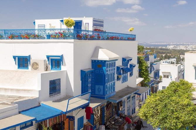 Tunis: Carthage, Bardo Museum, Sidi Bou Said & Medina Group Tour - Carthage Archeological Site: the Phoenician and Roman story you actually need