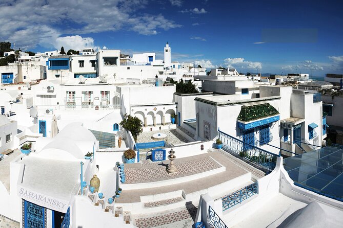 Tunis Group Tour: Carthage, Sidi Bou Said, Bardo museum & Medina - Bardo Museum: Artifacts And Mosaics That Put Tunisia In Focus