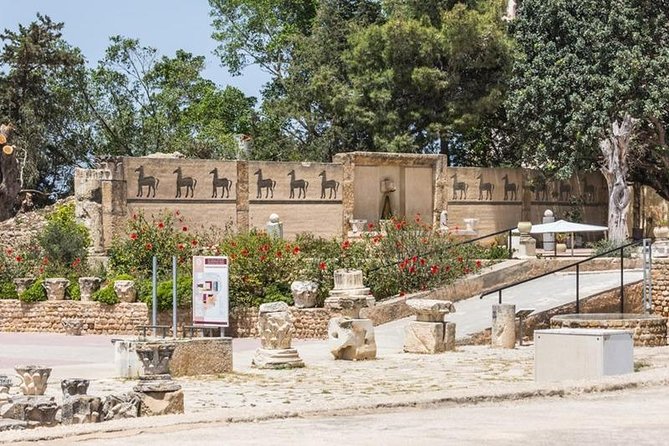 Tunis Group Tour: Carthage, Sidi Bou Said, Bardo museum & Medina - Carthage Archaeological Site: Punic Roots, Roman Fall, Two Hours Well Used