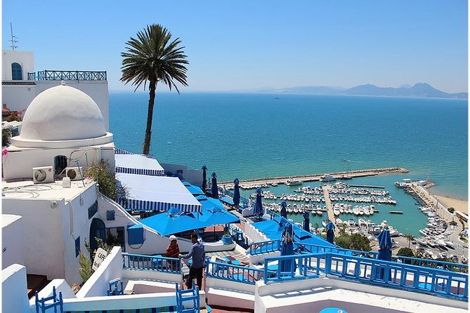 Tunis, Sidi Bousaid and Carthage day trip from Hammamet - Carthage in one hour: ruins, the presidential palace outlook, and optional add-ons