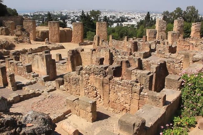 Tunis, Sidi Bousaid and Carthage Day Trip from Monastir - Sidi Bou Said: Flowers, Vines, and That Cliffside View