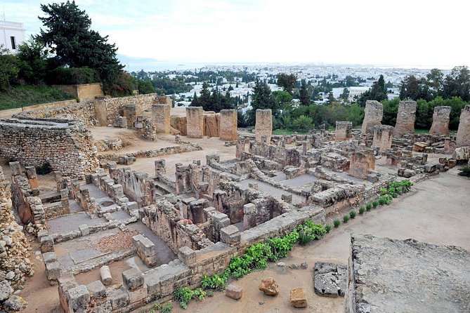 Tunis, Sidi Bousaid and Carthage Day Trip from Monastir - How Pickup, a Small Group, and a Comfortable Ride Actually Help
