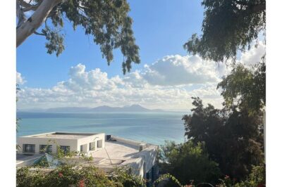VIP Tour: Tunis Medina/Bardo, Sidi Bou Said, Carthage
