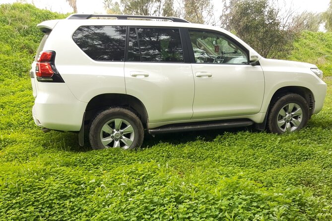 VIP transfer between Tunis Carthage Airport and a hotel in Tunis - Inside Tunis City Center, Point-to-Point Without the Extra Drama